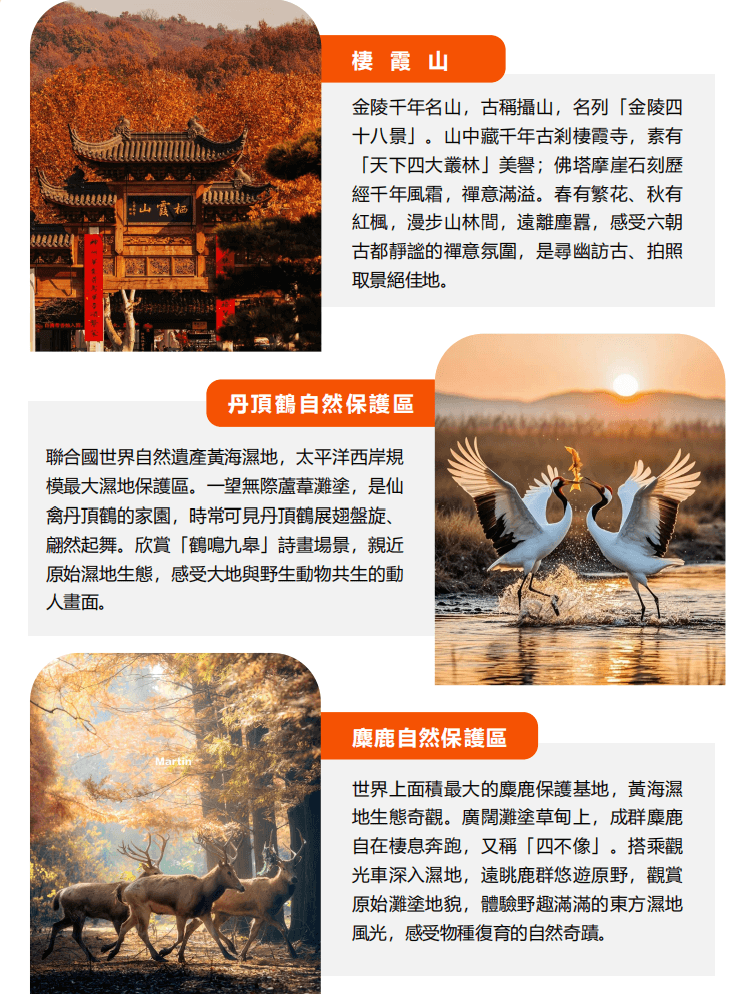 螢幕擷取畫面 2026 08 14 161209