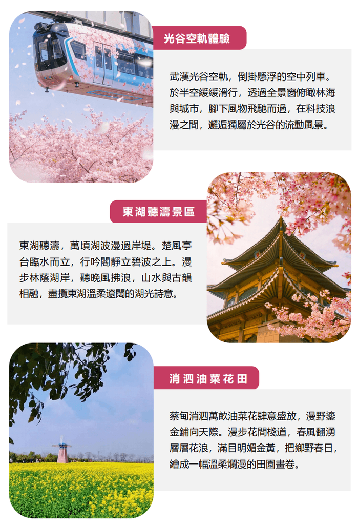 螢幕擷取畫面 2026 09 10 122140